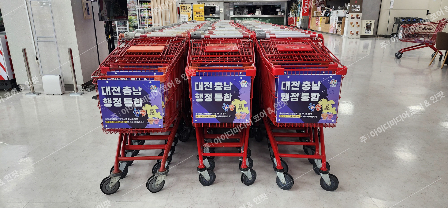 대전충남특별시